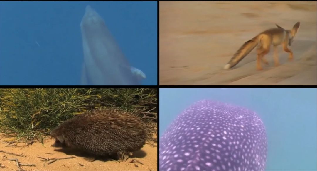 南宫娱乐·NG28(集团)相信品牌的实力官网