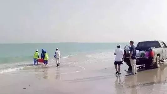 南宫娱乐·NG28(集团)相信品牌的实力官网