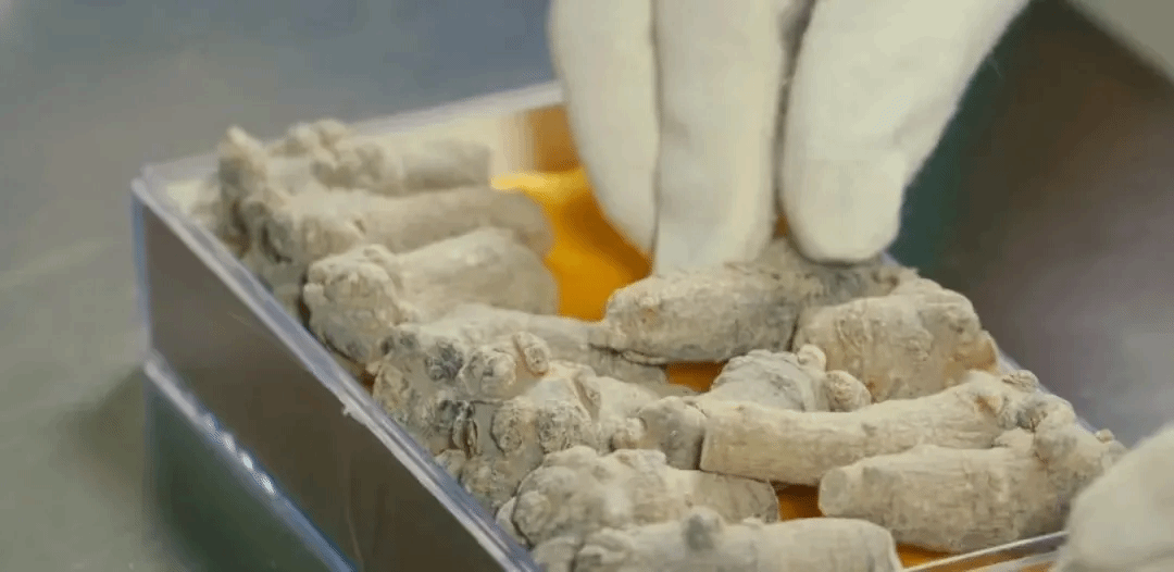 南宫娱乐·NG28(集团)相信品牌的实力官网