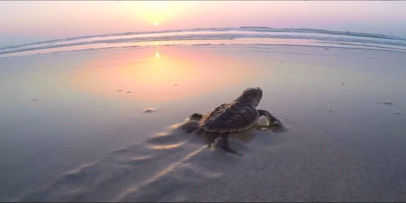 南宫娱乐·NG28(集团)相信品牌的实力官网