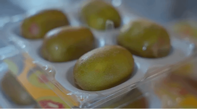 南宫娱乐·NG28(集团)相信品牌的实力官网