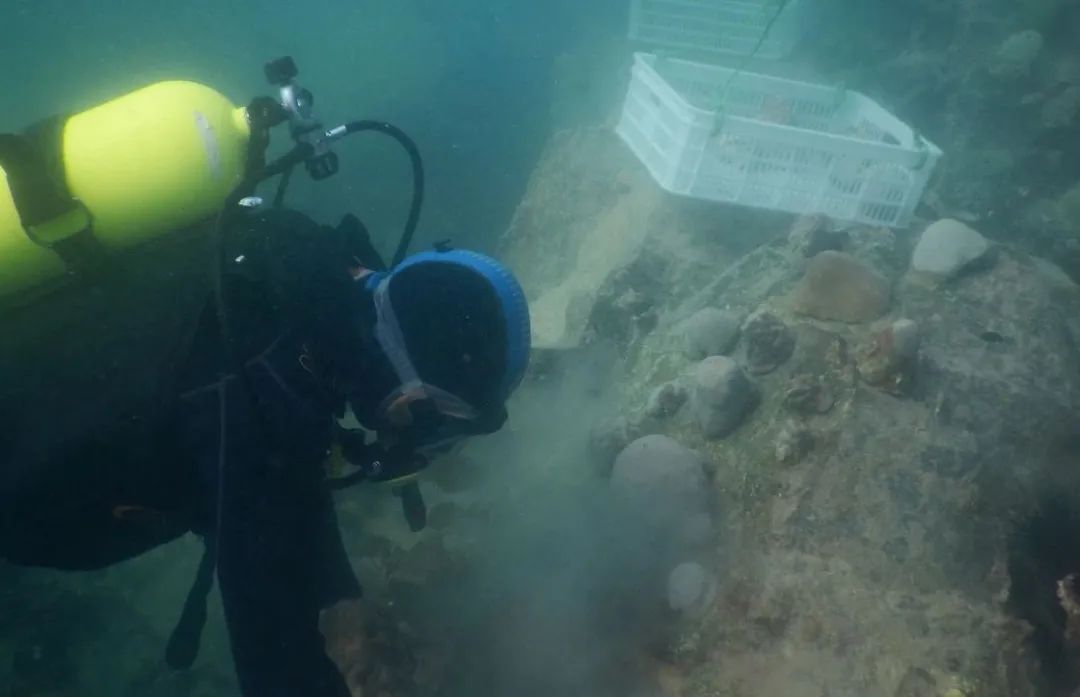 南宫娱乐·NG28(集团)相信品牌的实力官网