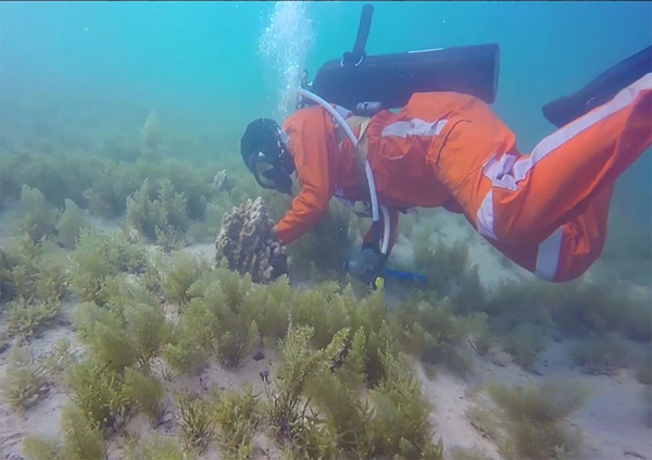 南宫娱乐·NG28(集团)相信品牌的实力官网