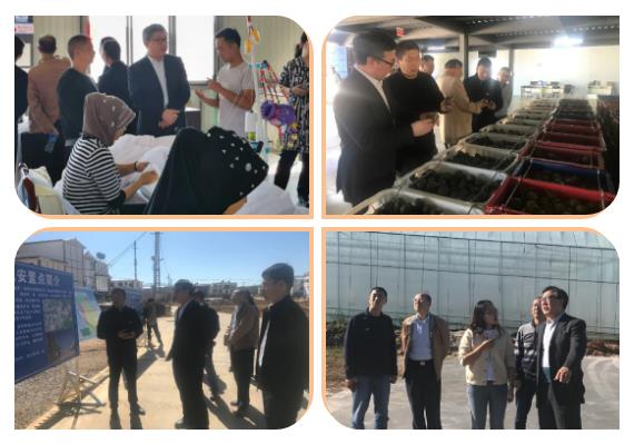 南宫娱乐·NG28(集团)相信品牌的实力官网