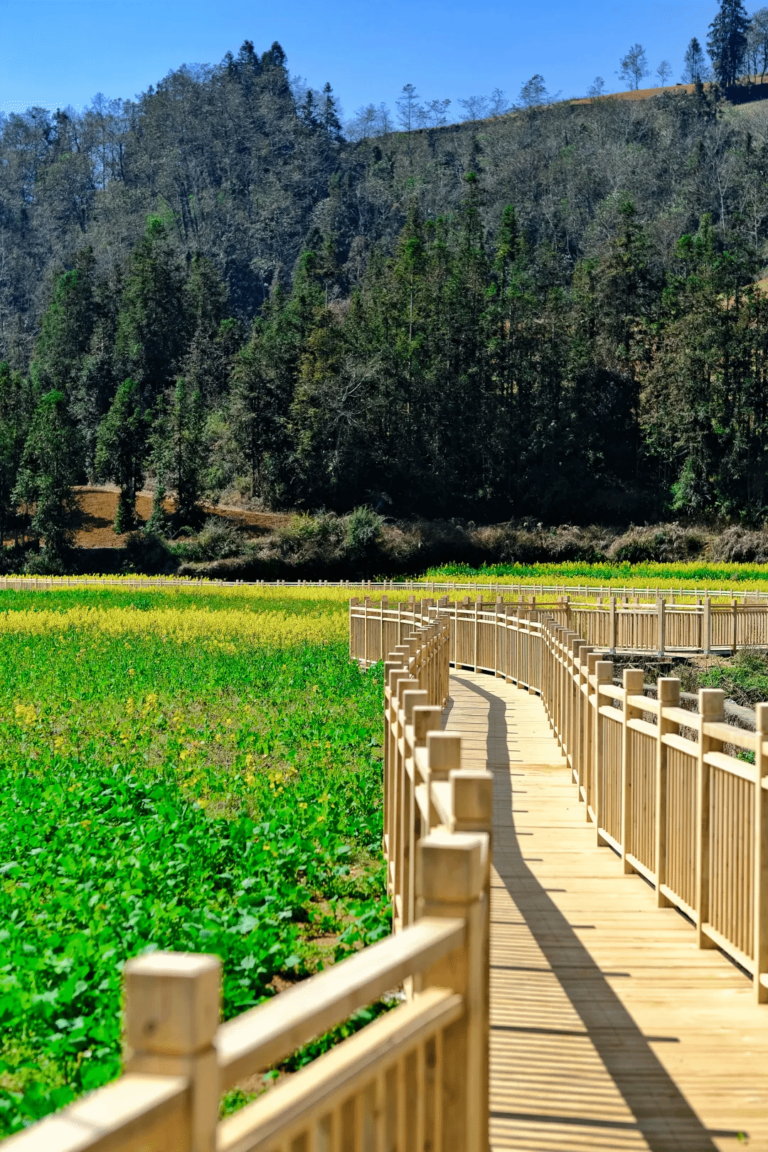 南宫娱乐·NG28(集团)相信品牌的实力官网