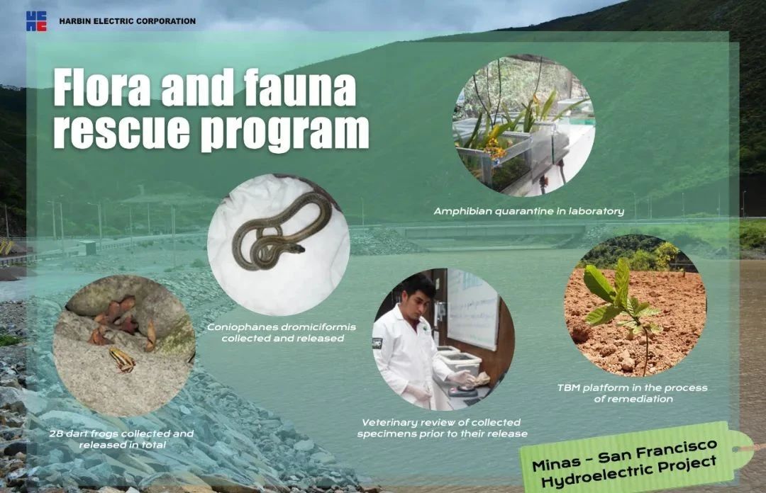 南宫娱乐·NG28(集团)相信品牌的实力官网