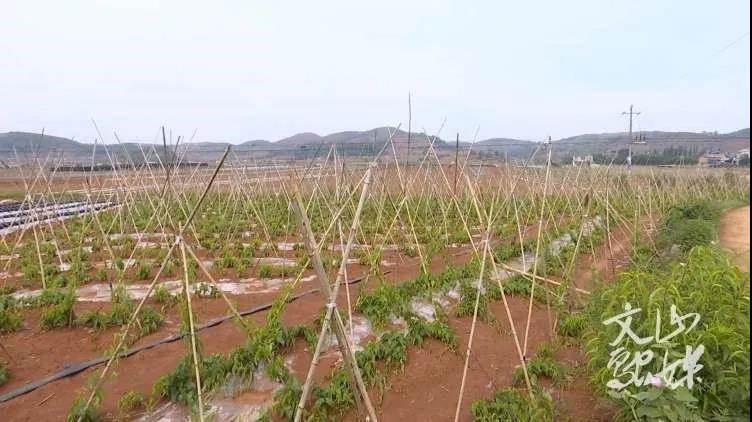 南宫娱乐·NG28(集团)相信品牌的实力官网