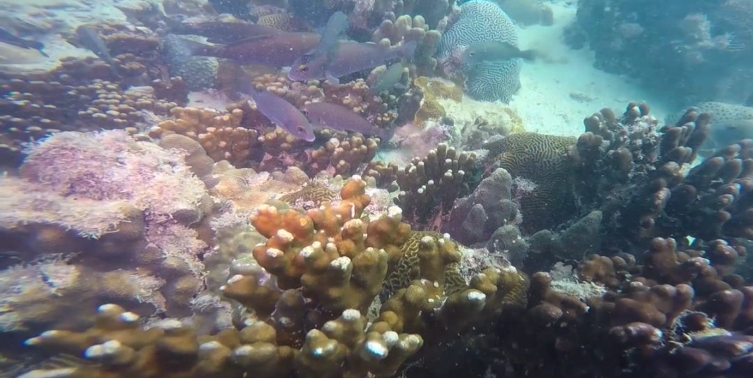 南宫娱乐·NG28(集团)相信品牌的实力官网