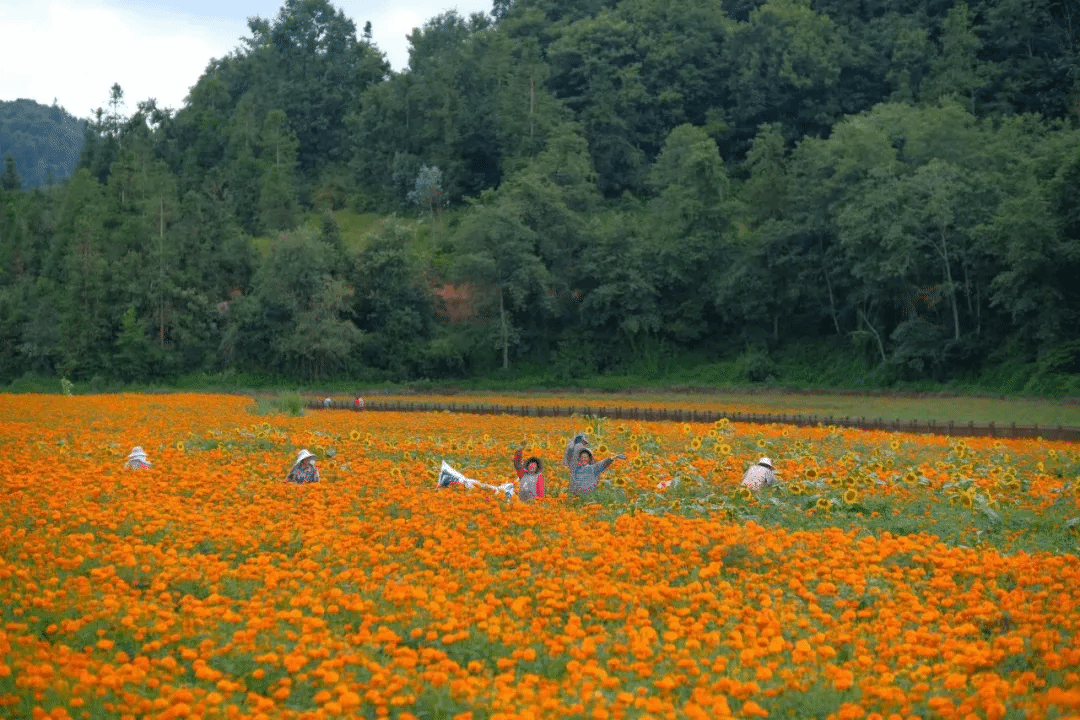 南宫娱乐·NG28(集团)相信品牌的实力官网