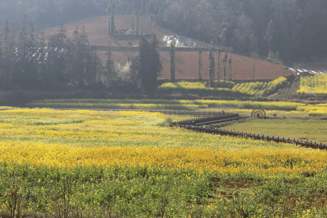 南宫娱乐·NG28(集团)相信品牌的实力官网