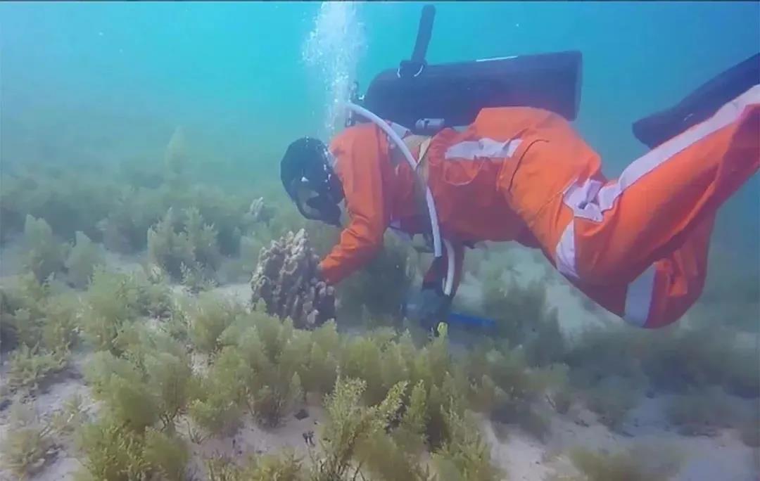 南宫娱乐·NG28(集团)相信品牌的实力官网